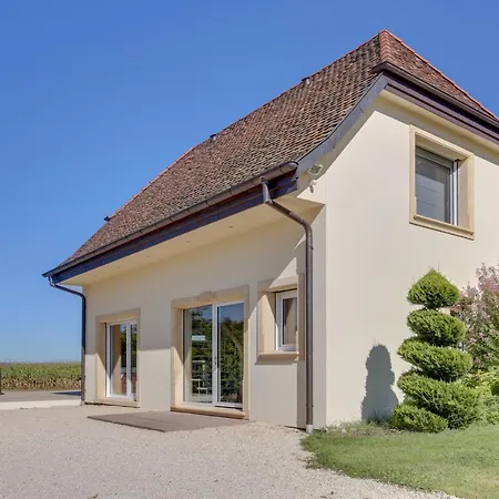 L'Atelier 4 Stars Luxury, Hot Tub, Pool Villa Nambsheim Exterior photo