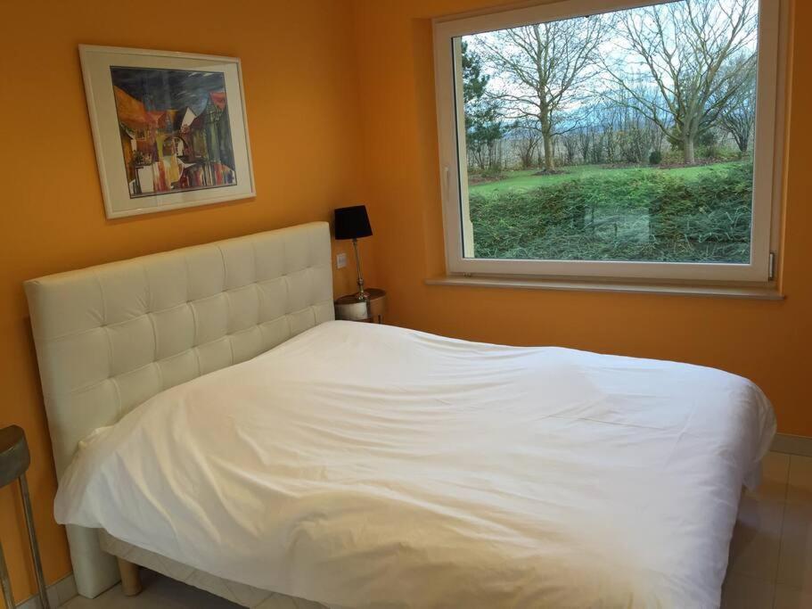 L'atelier 4 Stars Luxury, Hot Tub, Pool Holiday home Nambsheim