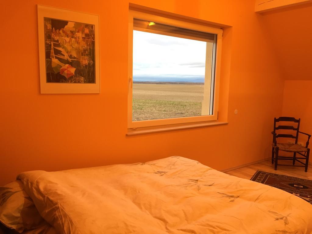 Holiday home L'atelier 4 Stars Luxury, Hot Tub, Pool Nambsheim